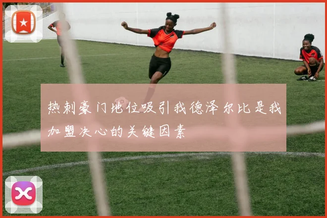 热刺豪门地位吸引我德泽尔比是我加盟决心的关键因素